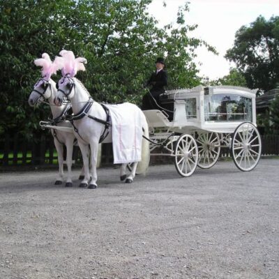 Horse drawn burial